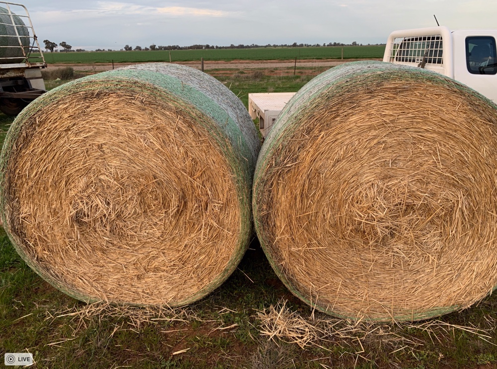 Wheaten Straw 5x4 Rolls Hay & Fodder Straw For Sale
